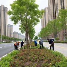 2026美加墨世界杯官网 新沂城市绿化带有什么作用